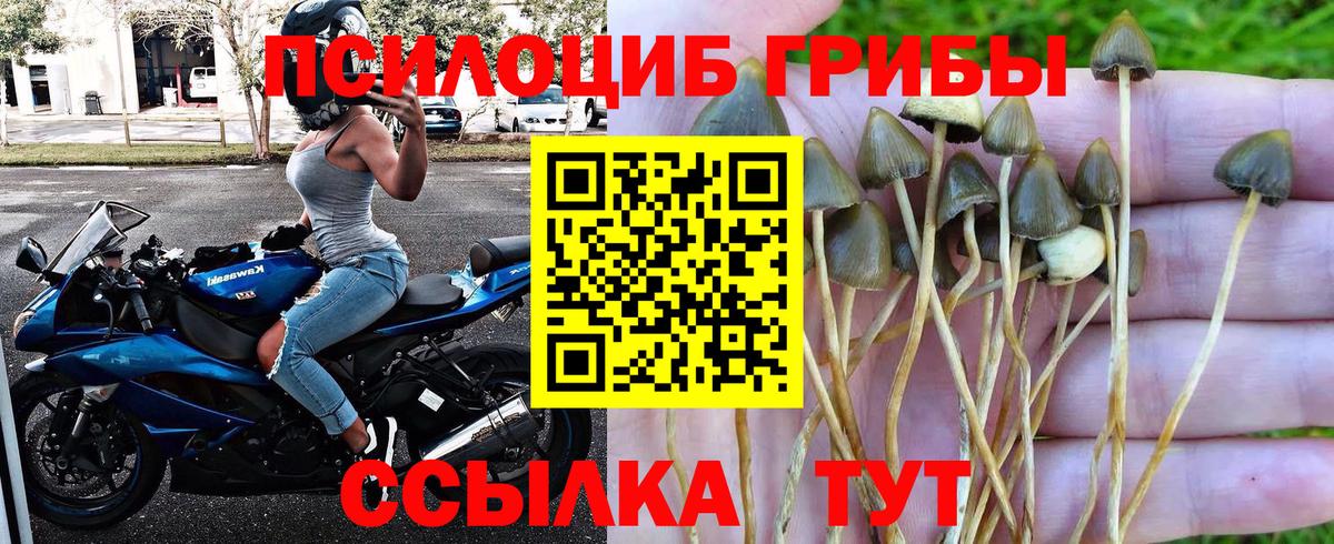 Псилоцибиновые грибы Psilocybe  Вход с VPN  Галлюциногенные грибы Psilocybine cubensis  Орехово-Зуево 