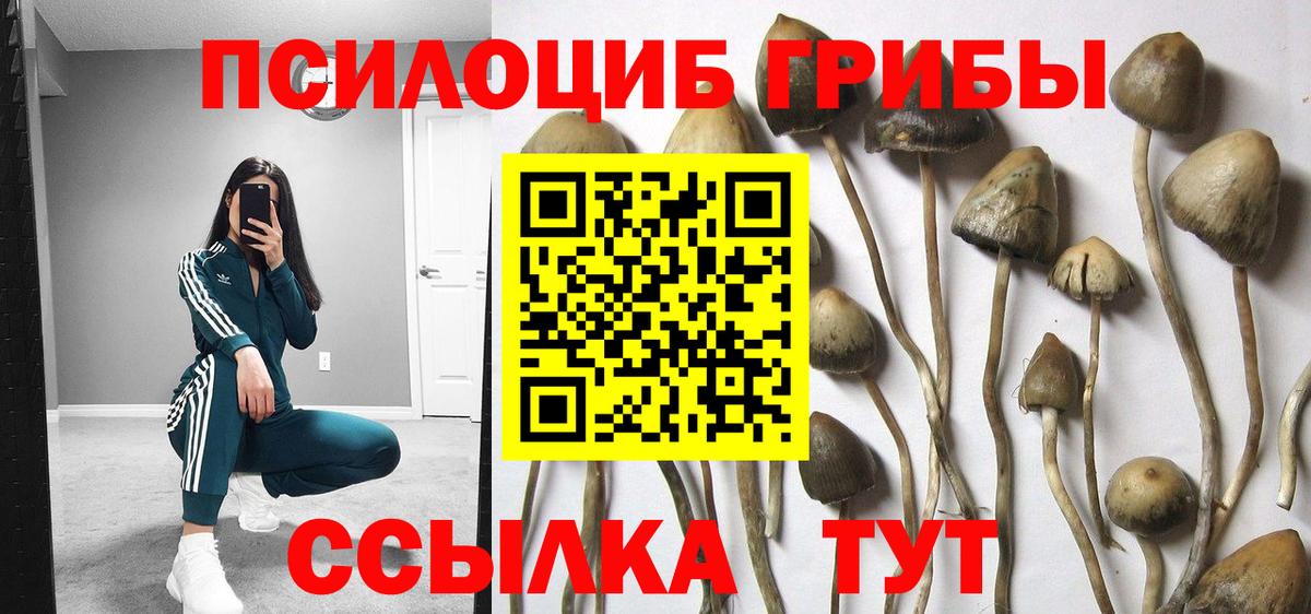 Галлюциногенные грибы мицелий Орехово-Зуево